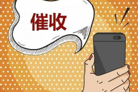 东西湖贷款清欠服务